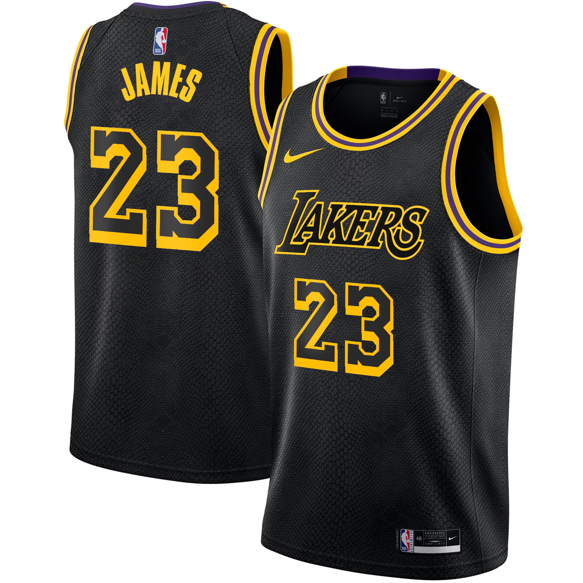Men Los Angeles Lakers #23 James Black 2025 Nike Swingman NBA Jersey